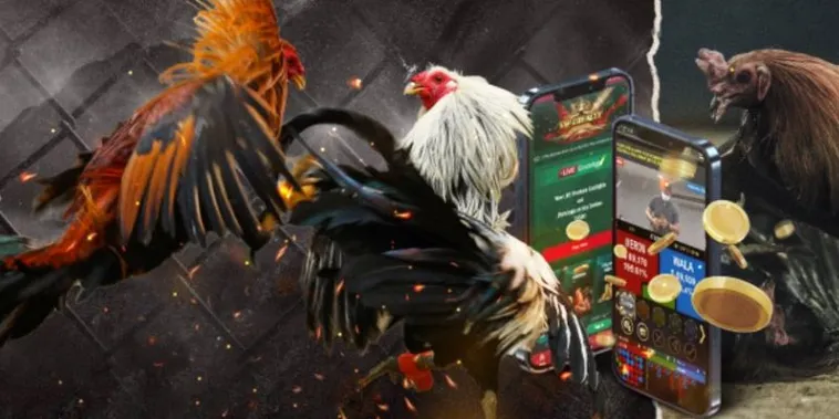 Cách Chơi Đá Gà GA28 BETVND Kịch Tính Thắng Lớn Với Chiến Kê Đỉnh 2 Cách Chơi Đá Gà GA28 BETVND Kịch Tính Thắng Lớn Với Chiến Kê Đỉnh