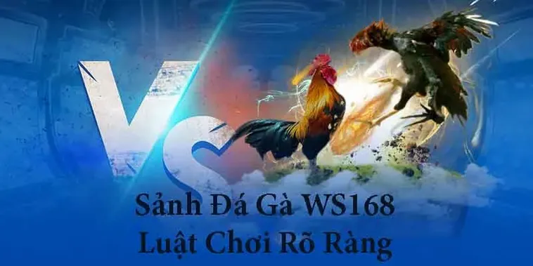 Cách Chơi Đá Gà WS168 Tại BETVND Hấp Dẫn Kịch Tính Đỉnh Cao 1 Cách Chơi Đá Gà WS168 Tại BETVND Hấp Dẫn Kịch Tính Đỉnh Cao