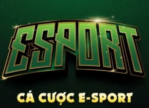 Cách Chơi Thể Thao Điện Tử BETVND: Chinh Phục Đỉnh Cao Cá Cược Kịch Tính