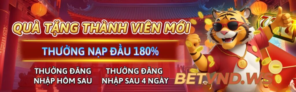 BETVND BANNER